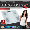 Testösszetétel elemző mérleg