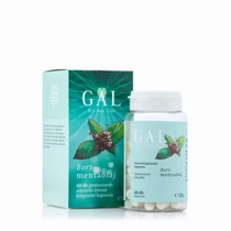 GAL Borsmentaolaj, 100 mg x 60 kapszula