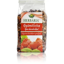 Herbária Gyümölcstea eper darabokkal 120g
